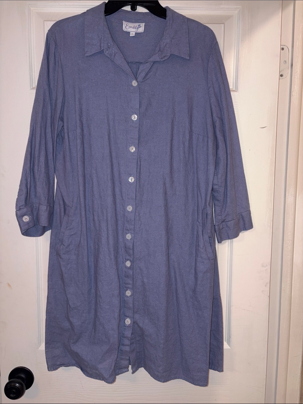 Dusty Blue Button-Front Shirt Dress